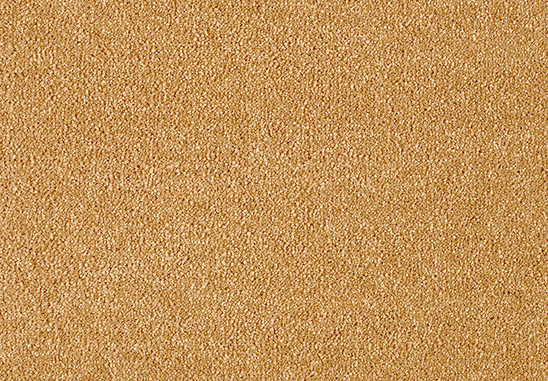 Fascinations Carpet