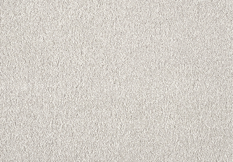 Fascinations Carpet