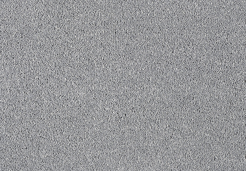 Fascinations Carpet