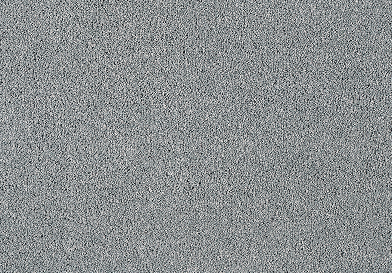 Fascinations Carpet