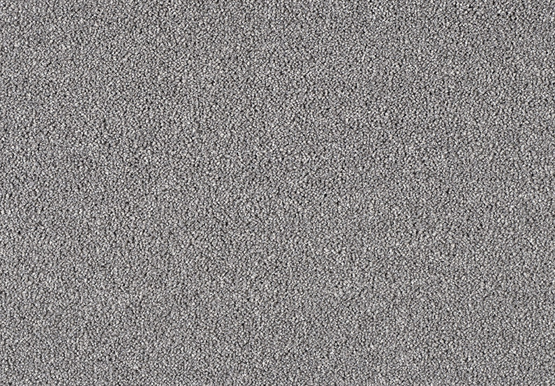 Fascinations Carpet