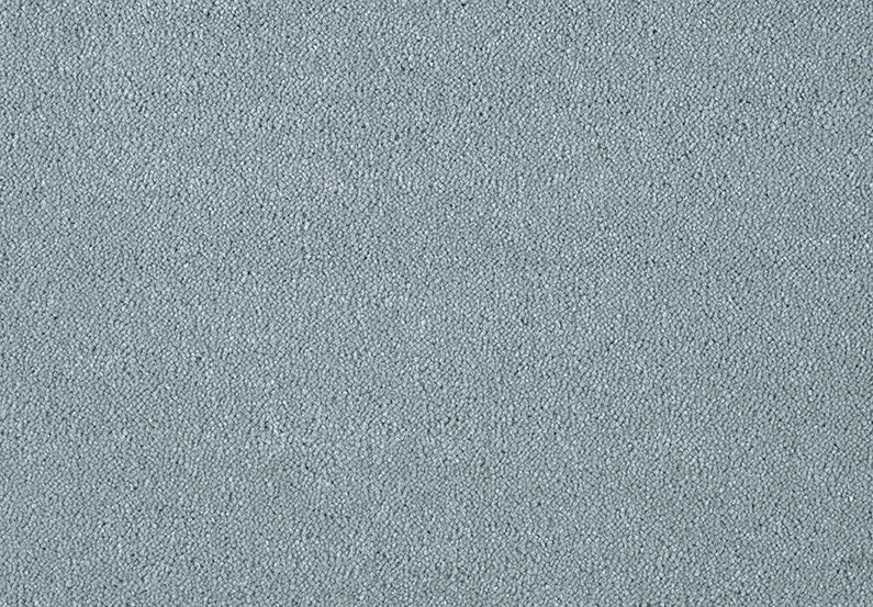 Fascinations Carpet