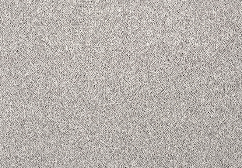 Fascinations Carpet