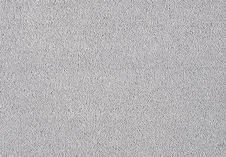 Fascinations Carpet