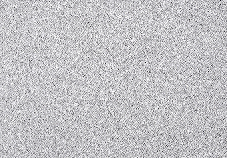 Fascinations Carpet