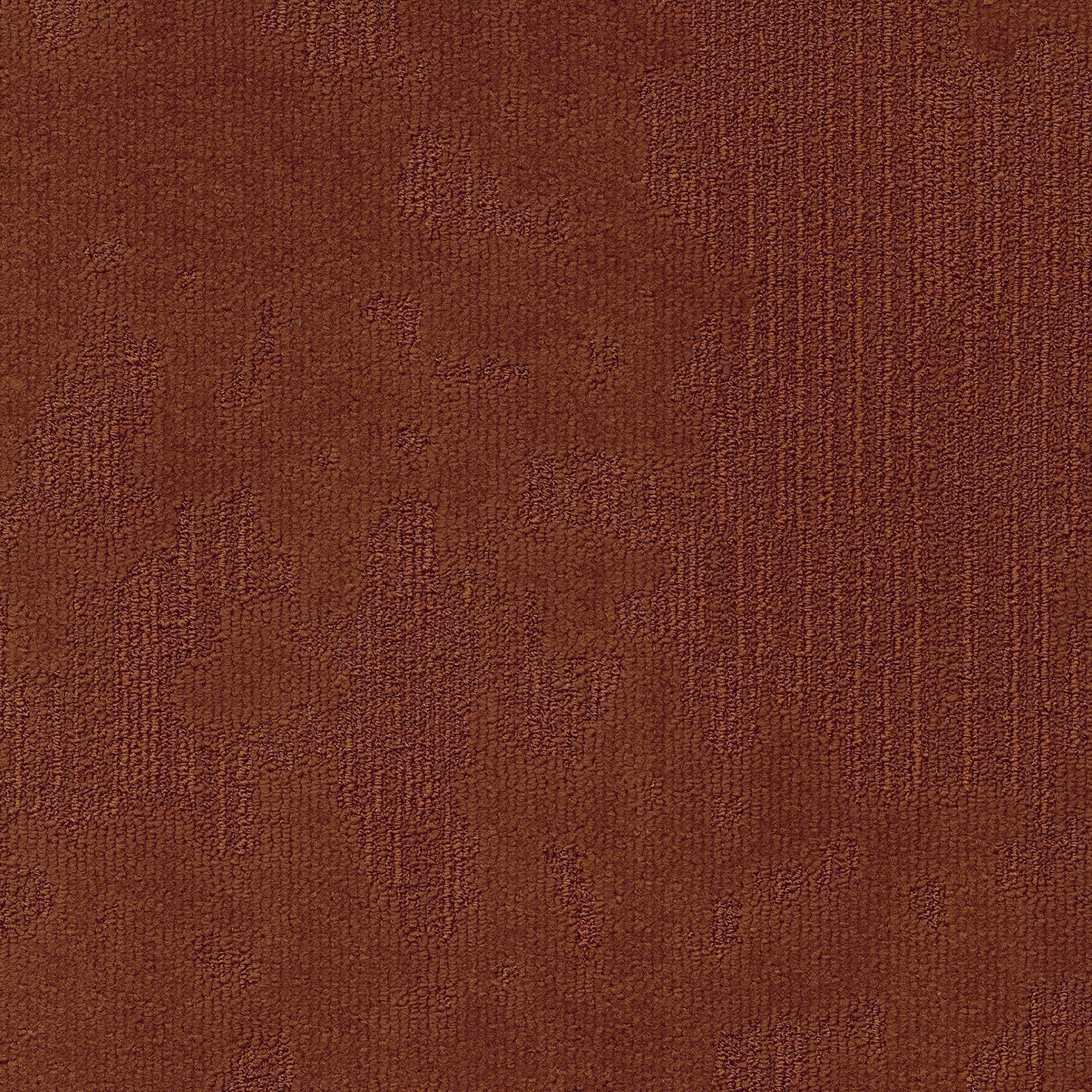 Premium Carpet Frances
