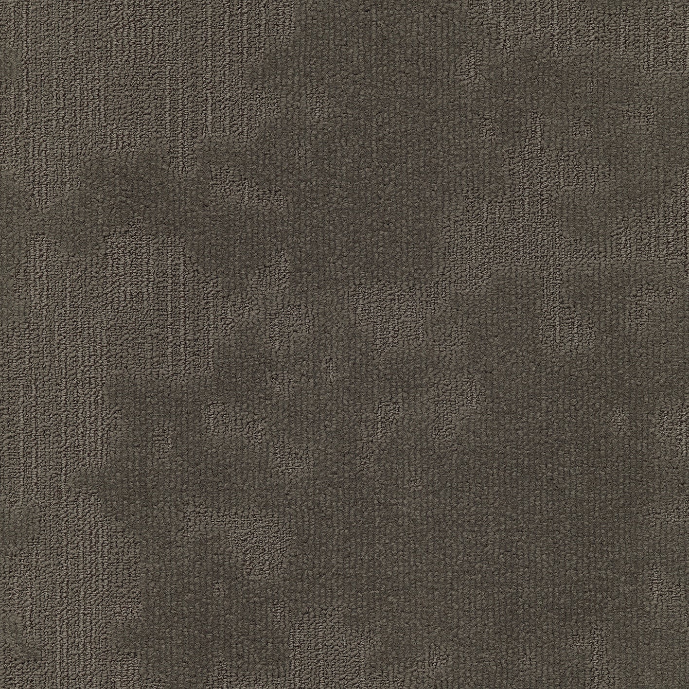 Premium Carpet Frances