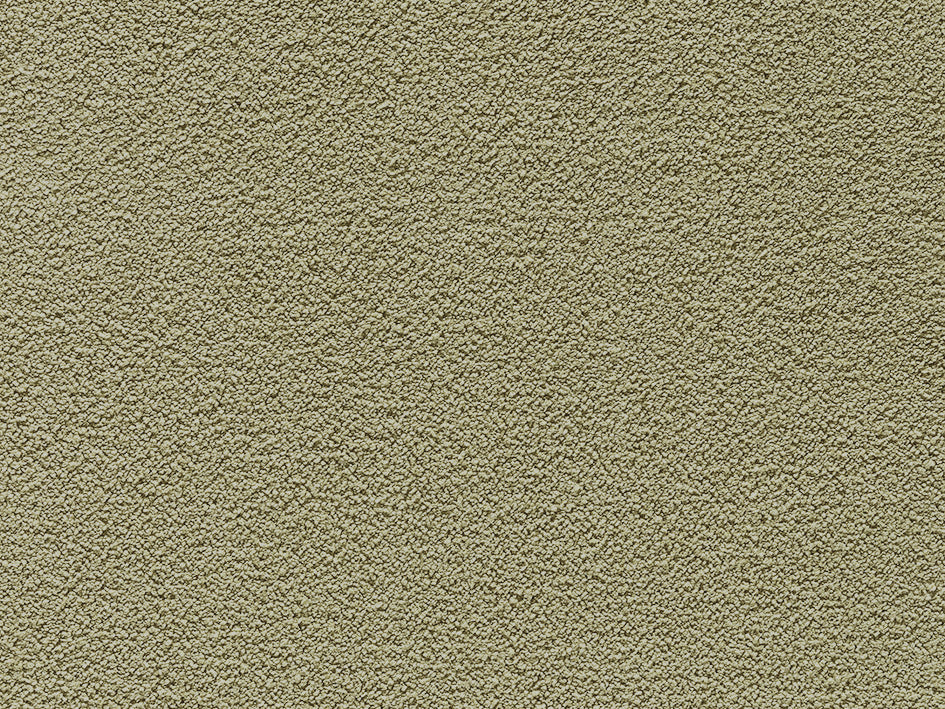 Jane Premium Carpet