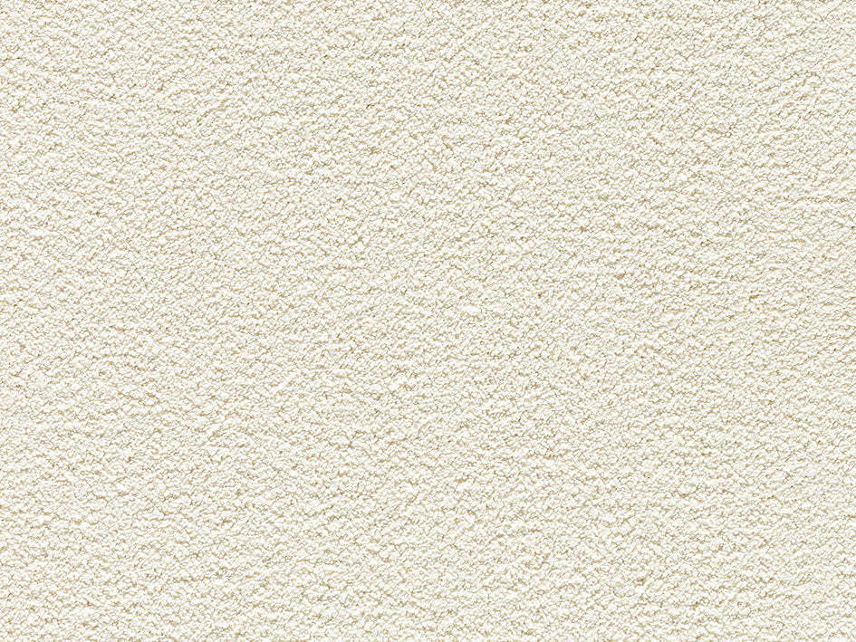 Jane Premium Carpet