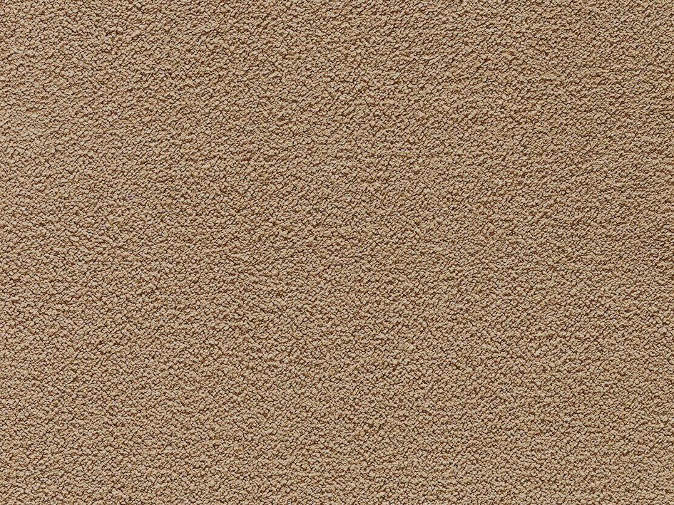 Jane Premium Carpet