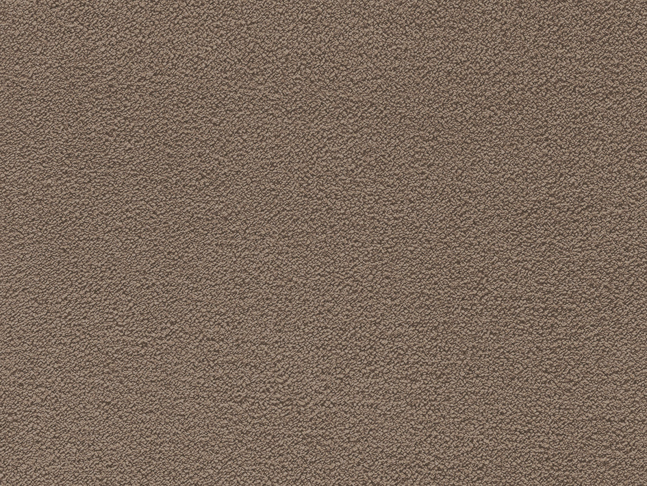 Jane Premium Carpet