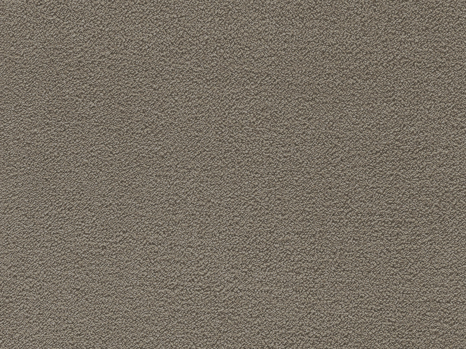 Jane Premium Carpet