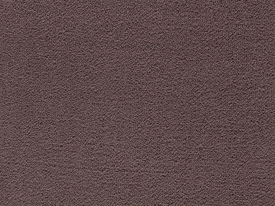 Jane Premium Carpet