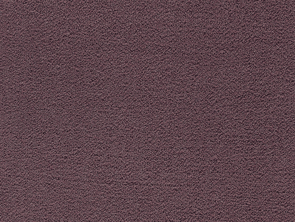 Jane Premium Carpet