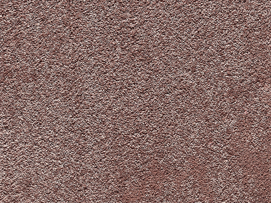 Premium Lily Carpet