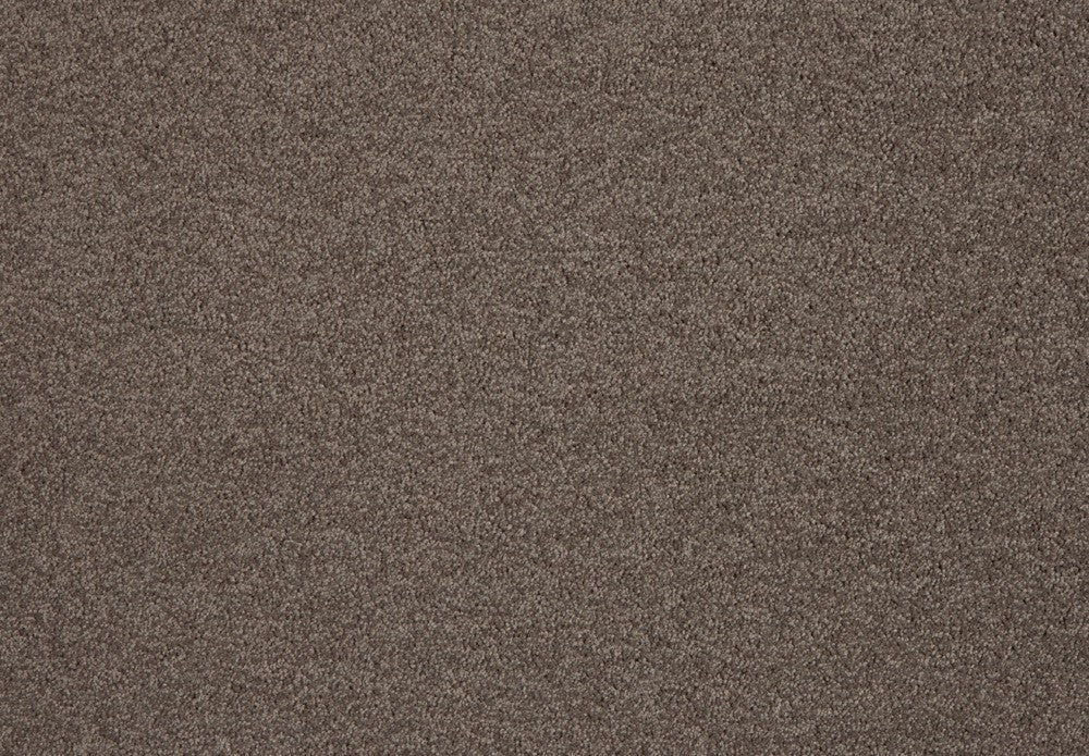 Lounge Carpet
