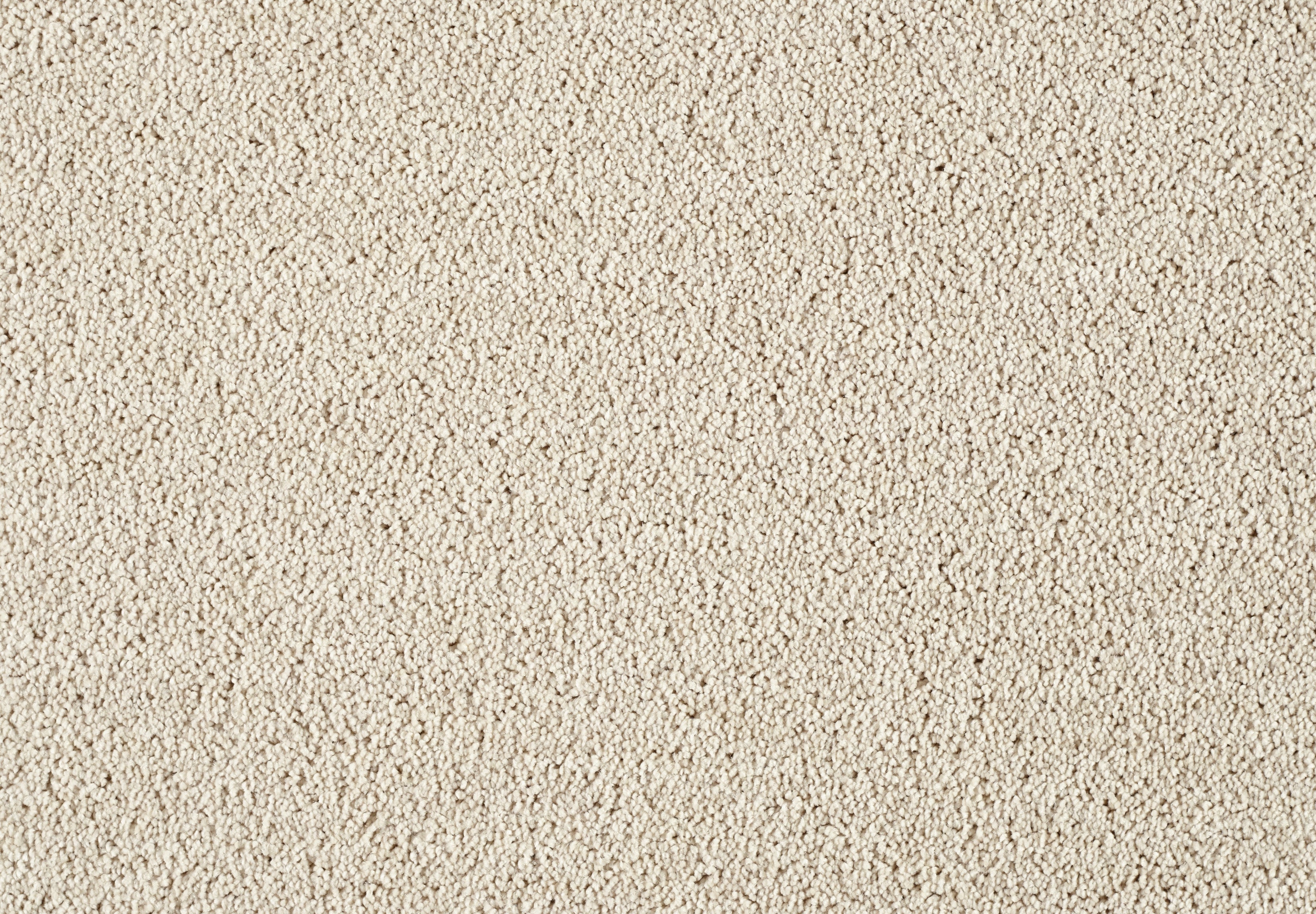 Lounge Carpet