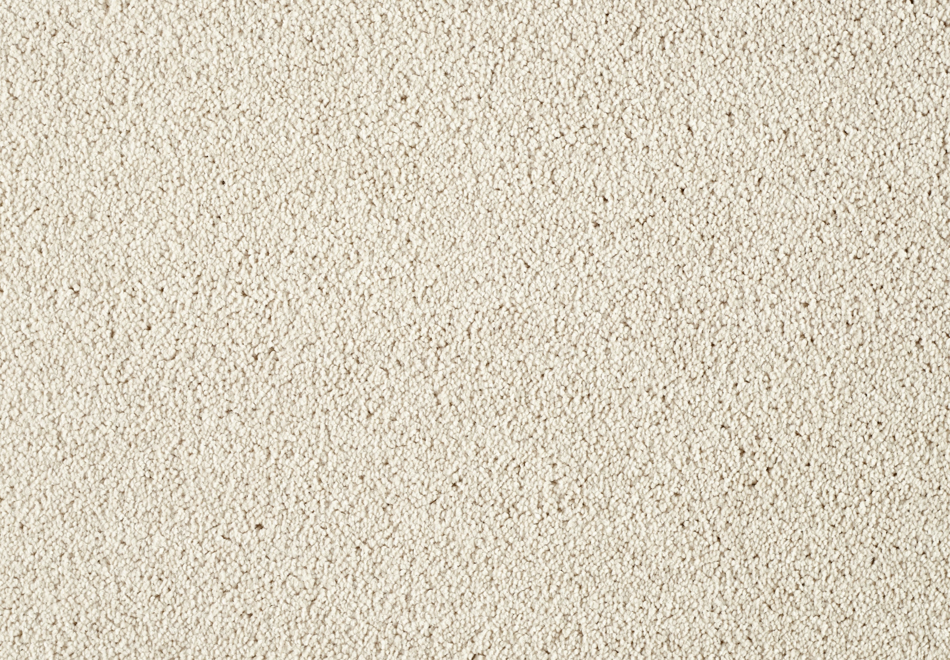 Lounge Carpet