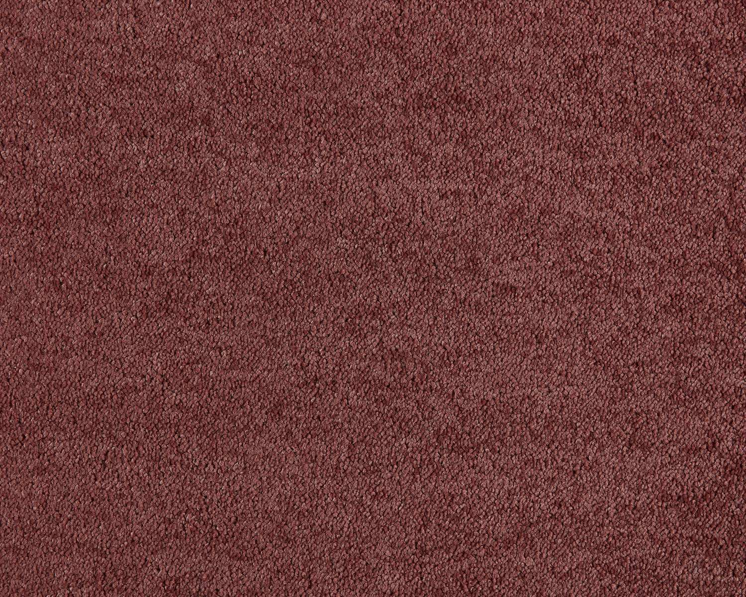 Lounge Carpet