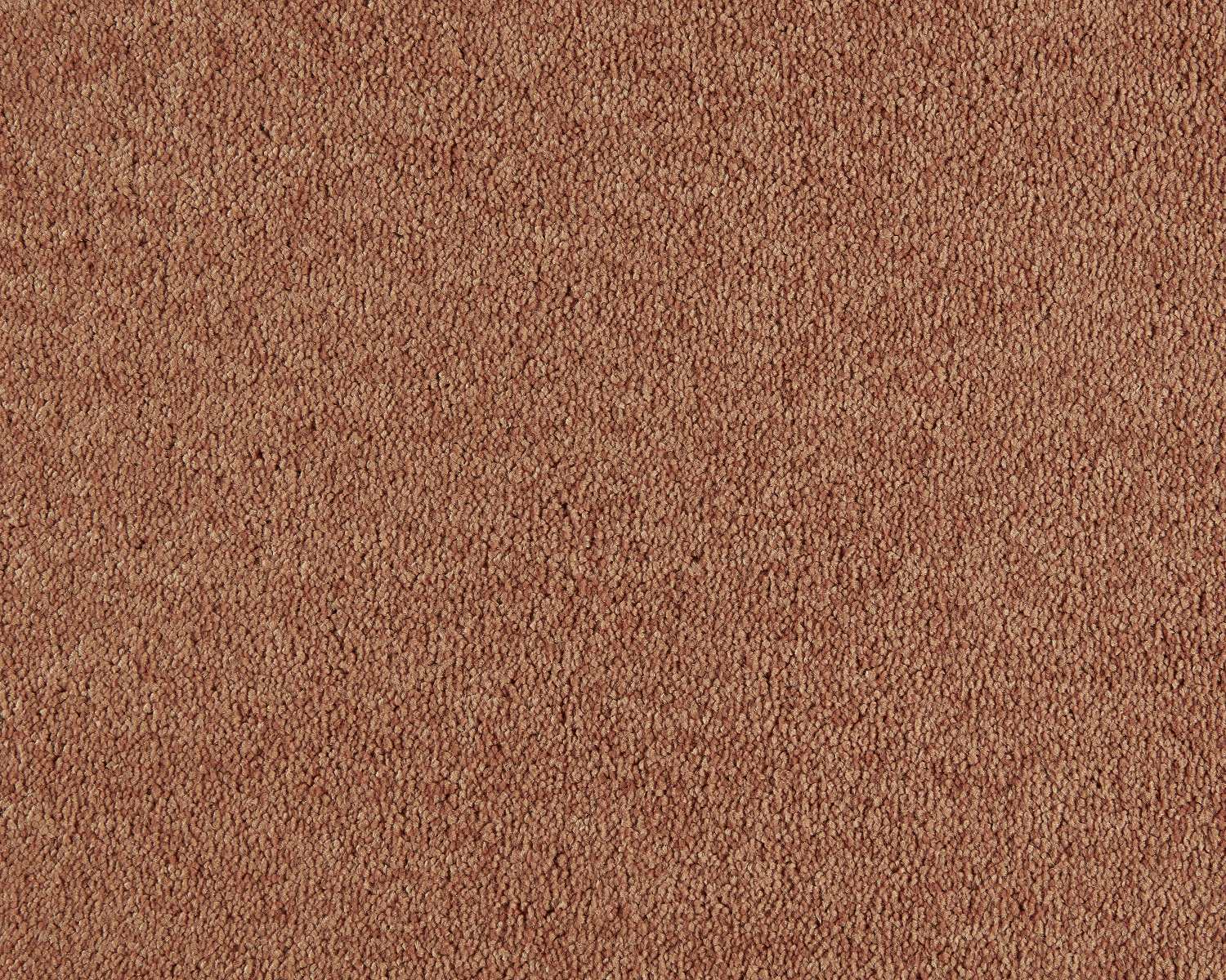 Lounge Carpet