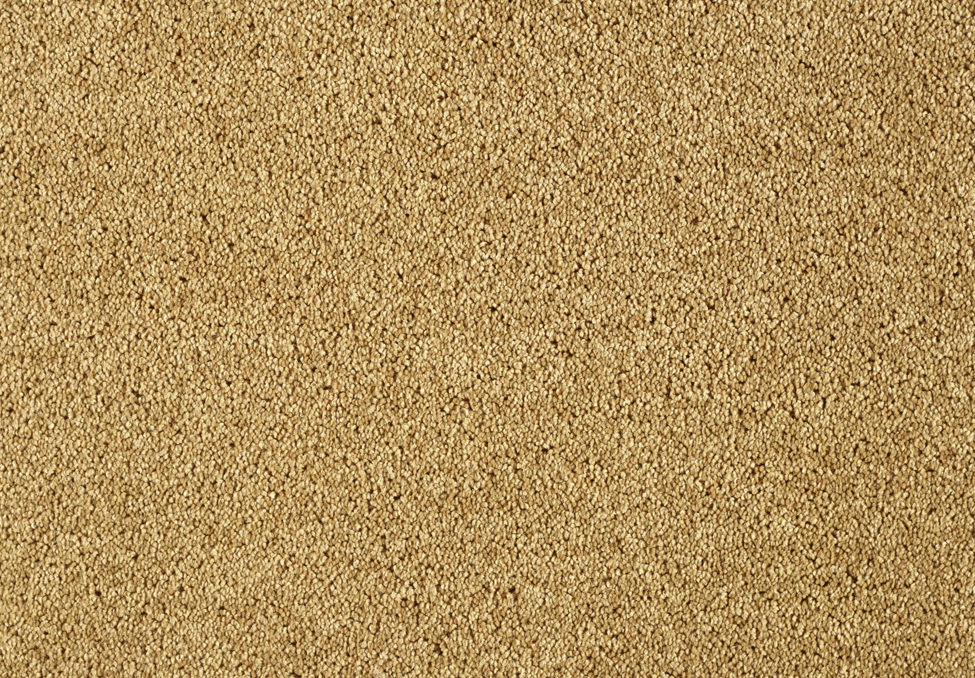 Lounge Carpet