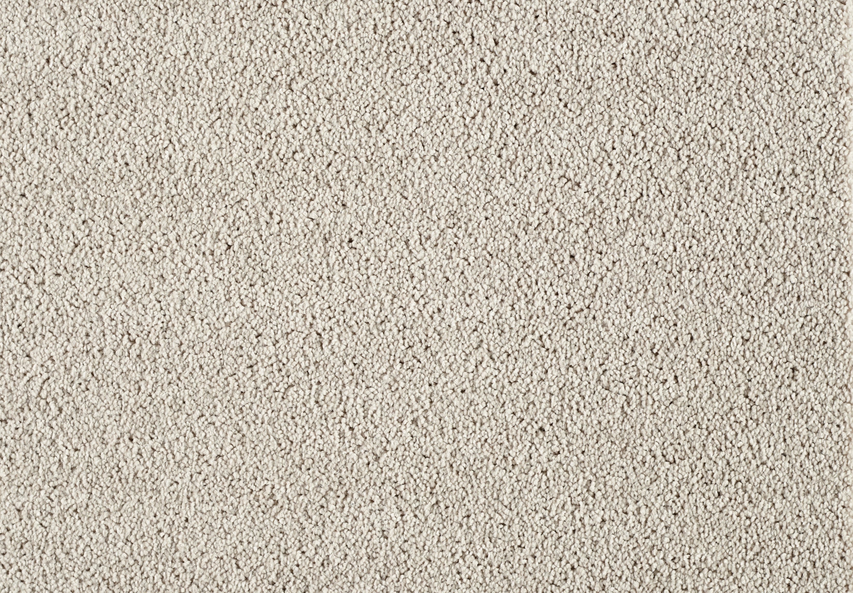 Lounge Carpet