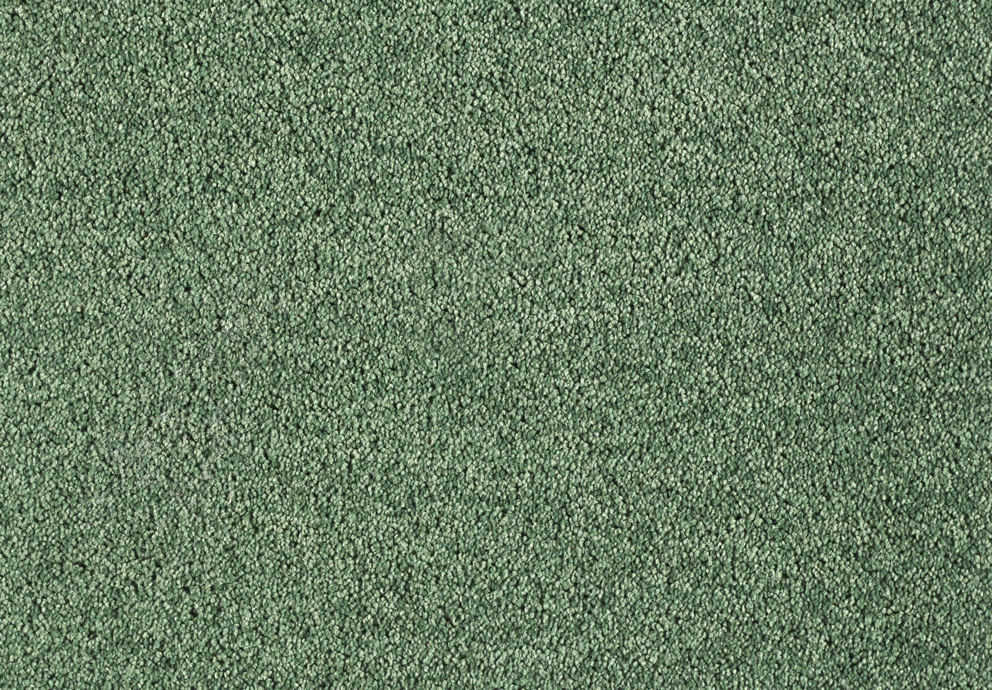Lounge Carpet