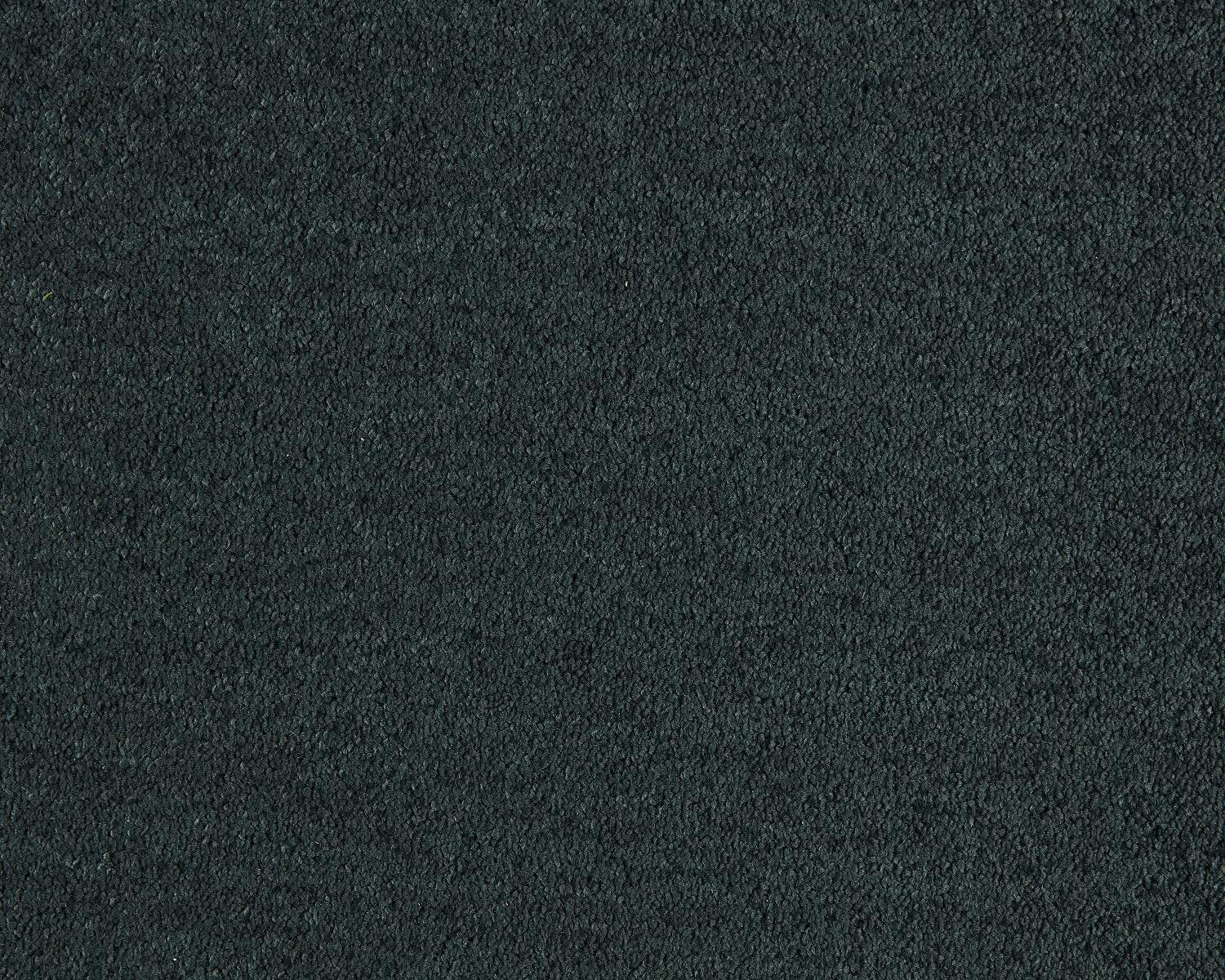Lounge Carpet