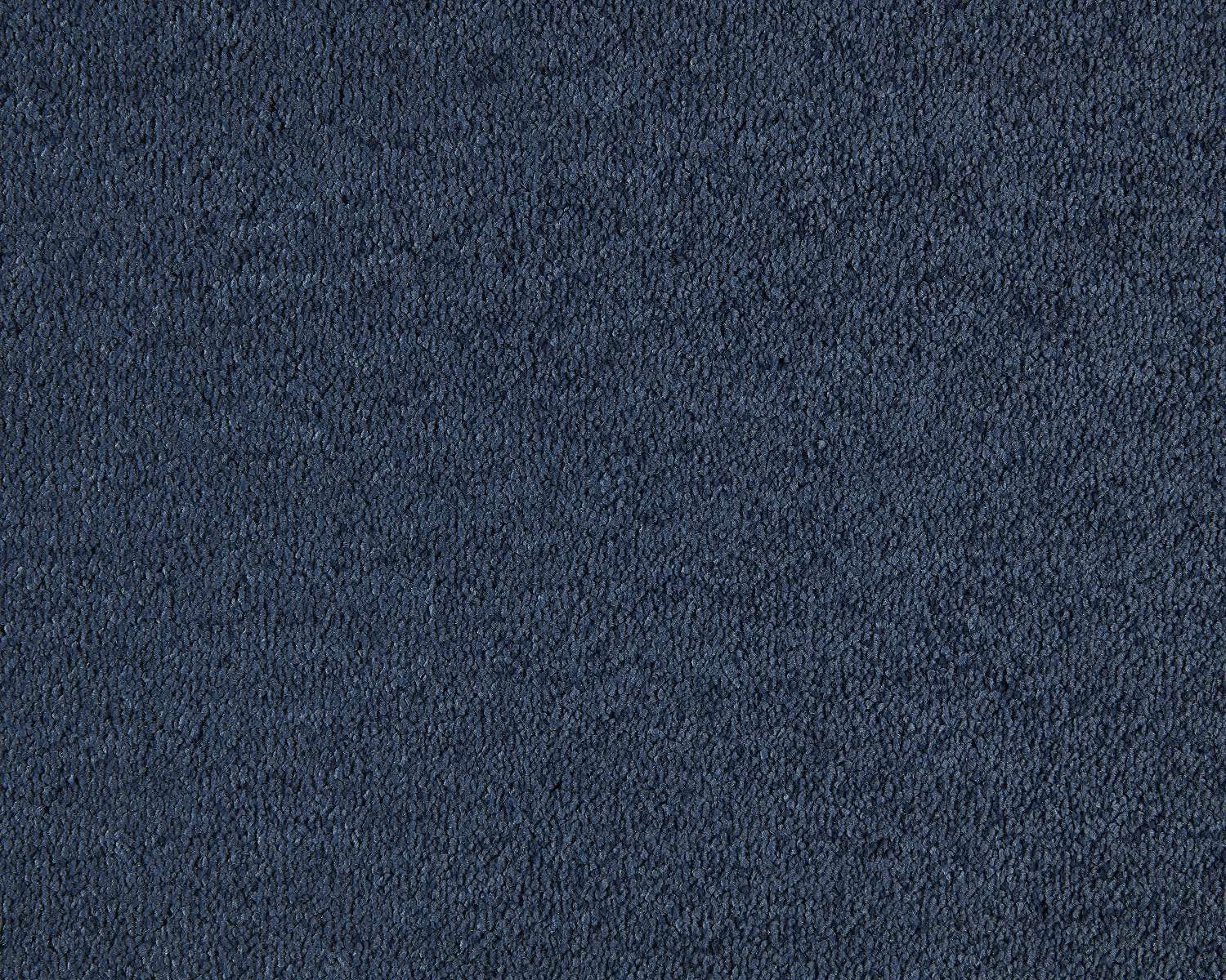 Lounge Carpet