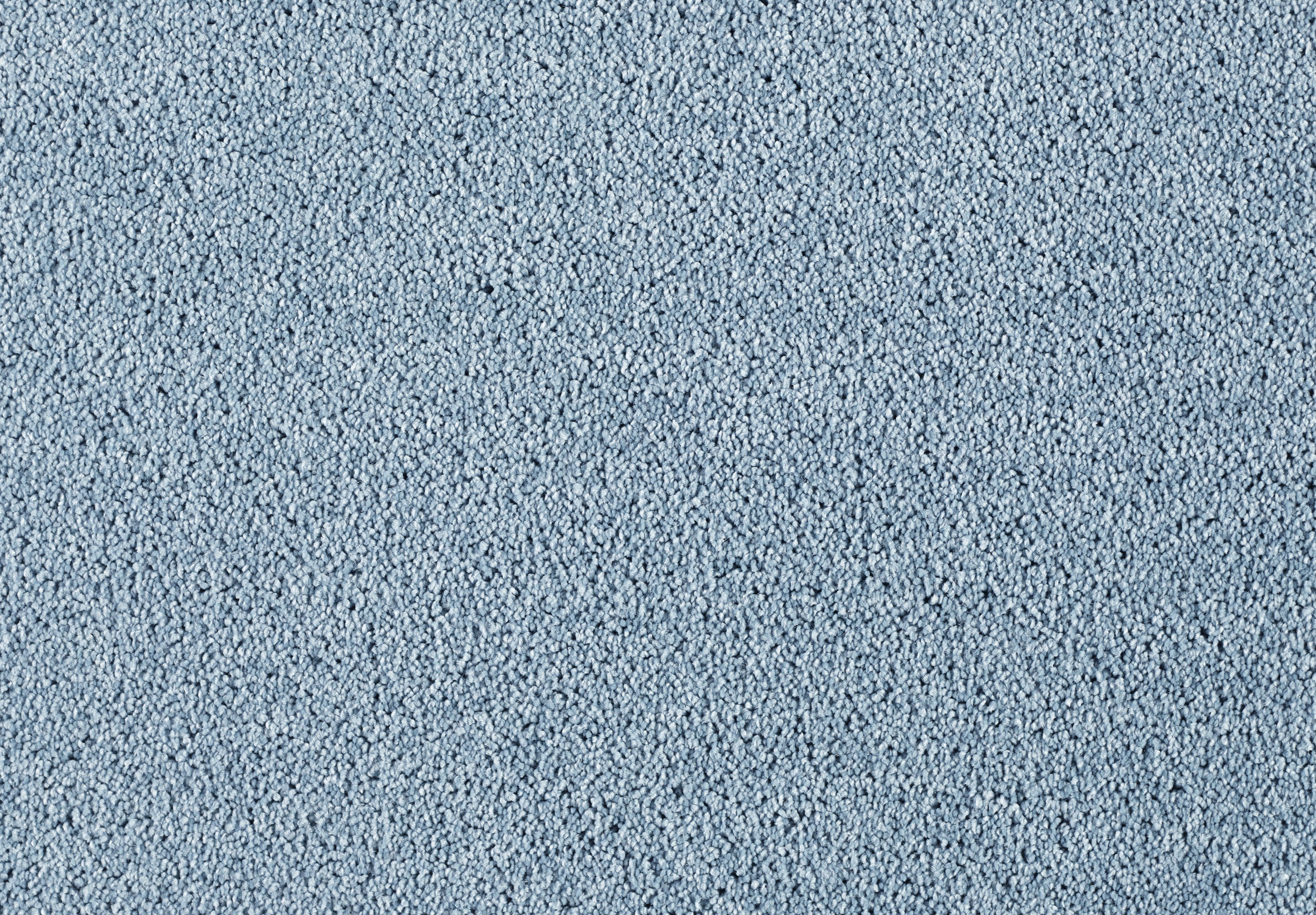 Lounge Carpet