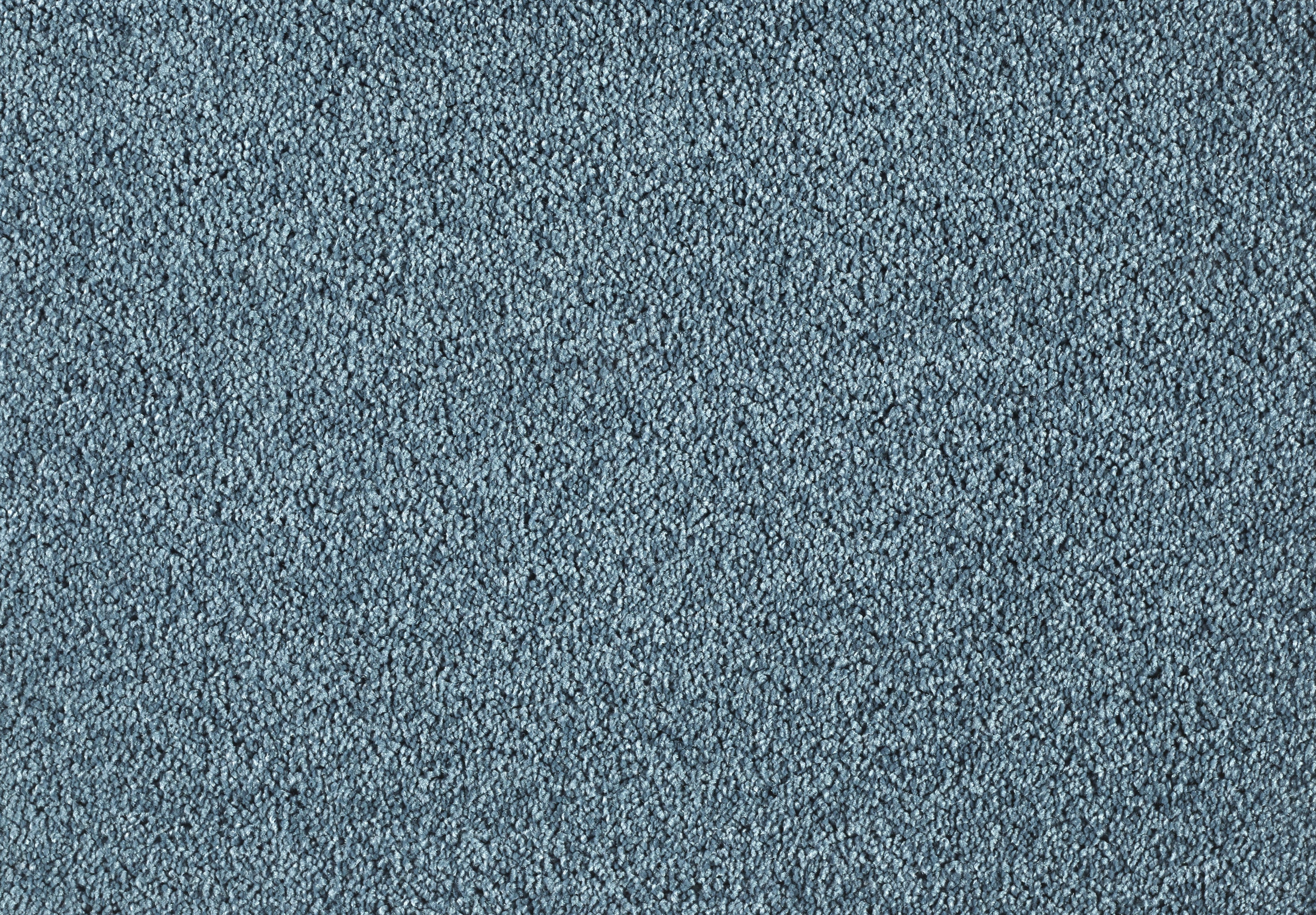 Lounge Carpet