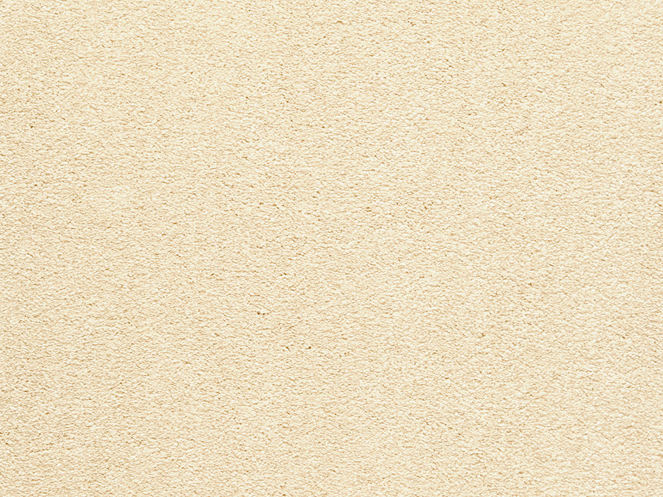 Premium Light Carpet