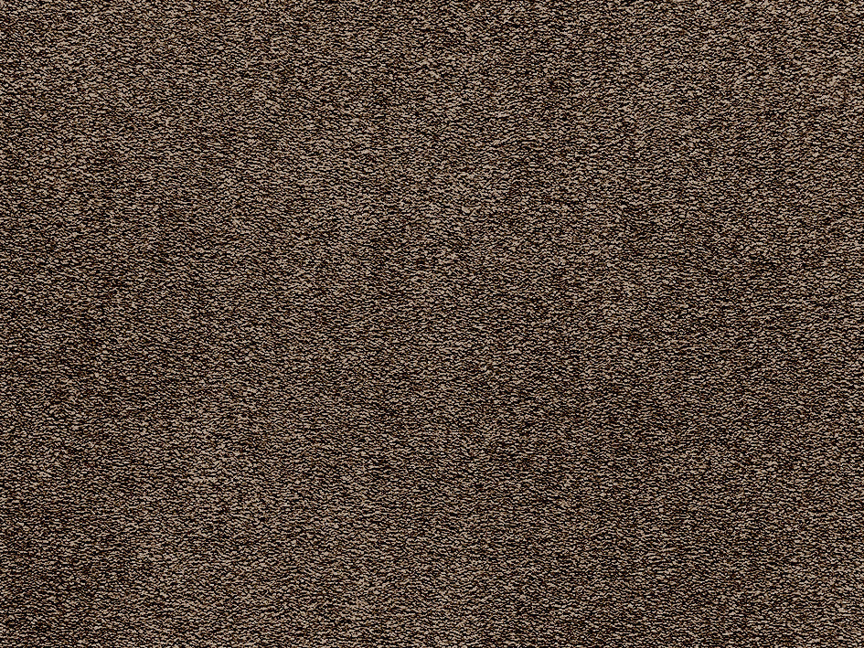 Premium Light Carpet