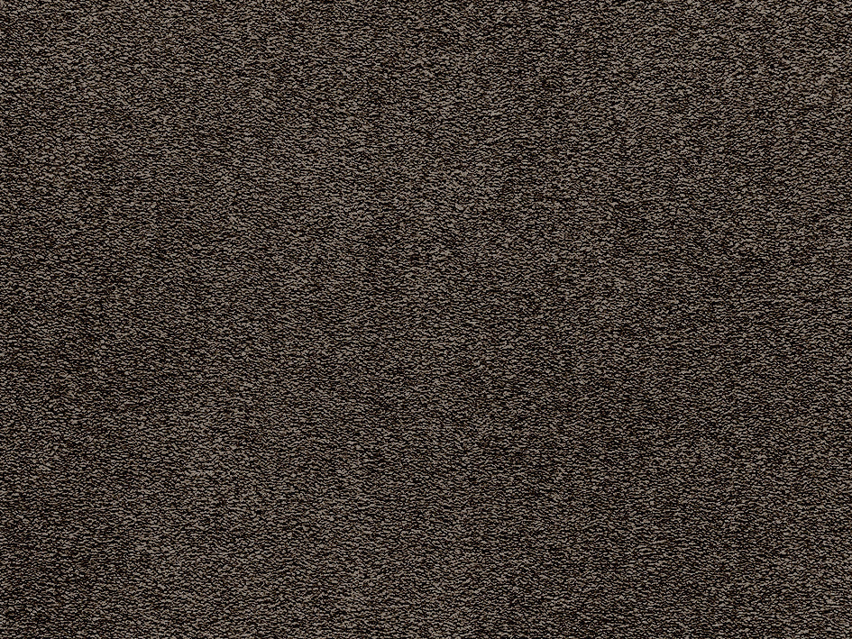 Premium Light Carpet