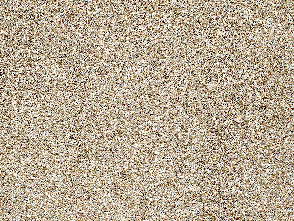 Premium Light Carpet