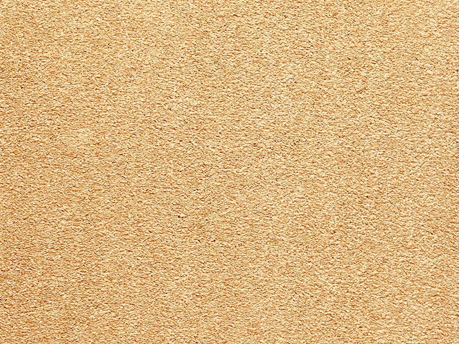 Premium Light Carpet