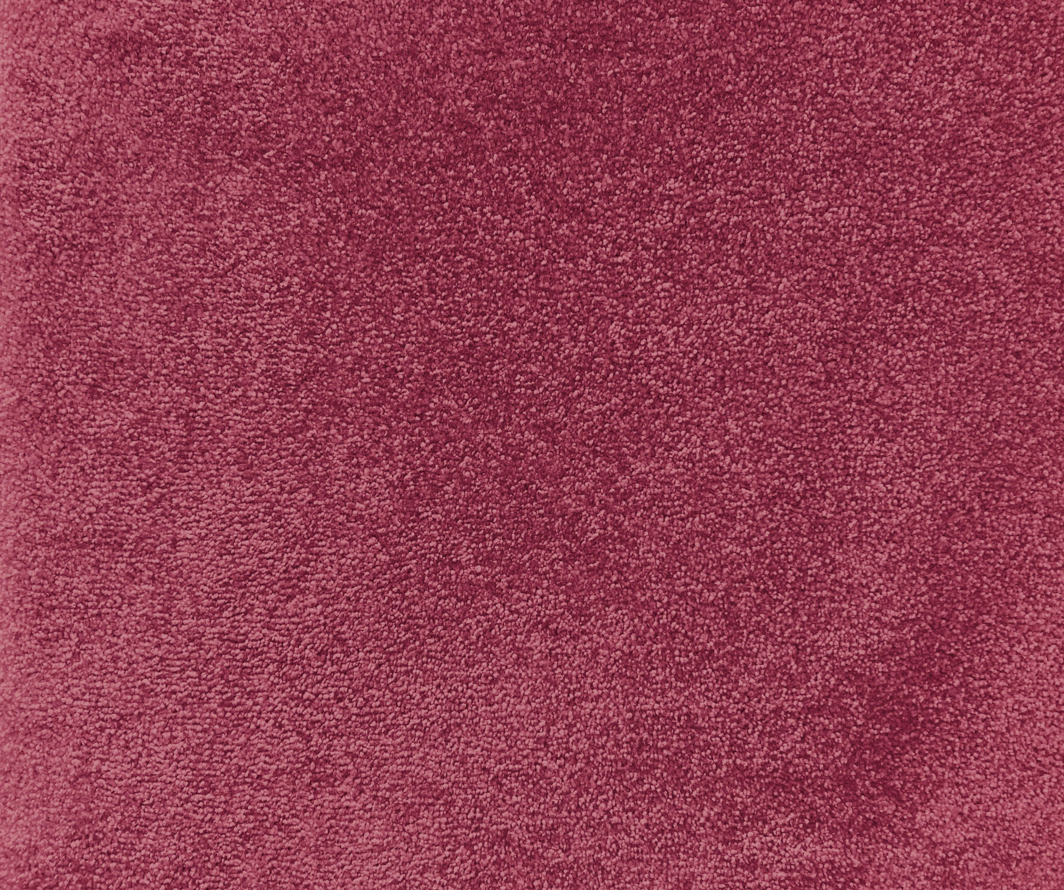 Mae Premium Carpet