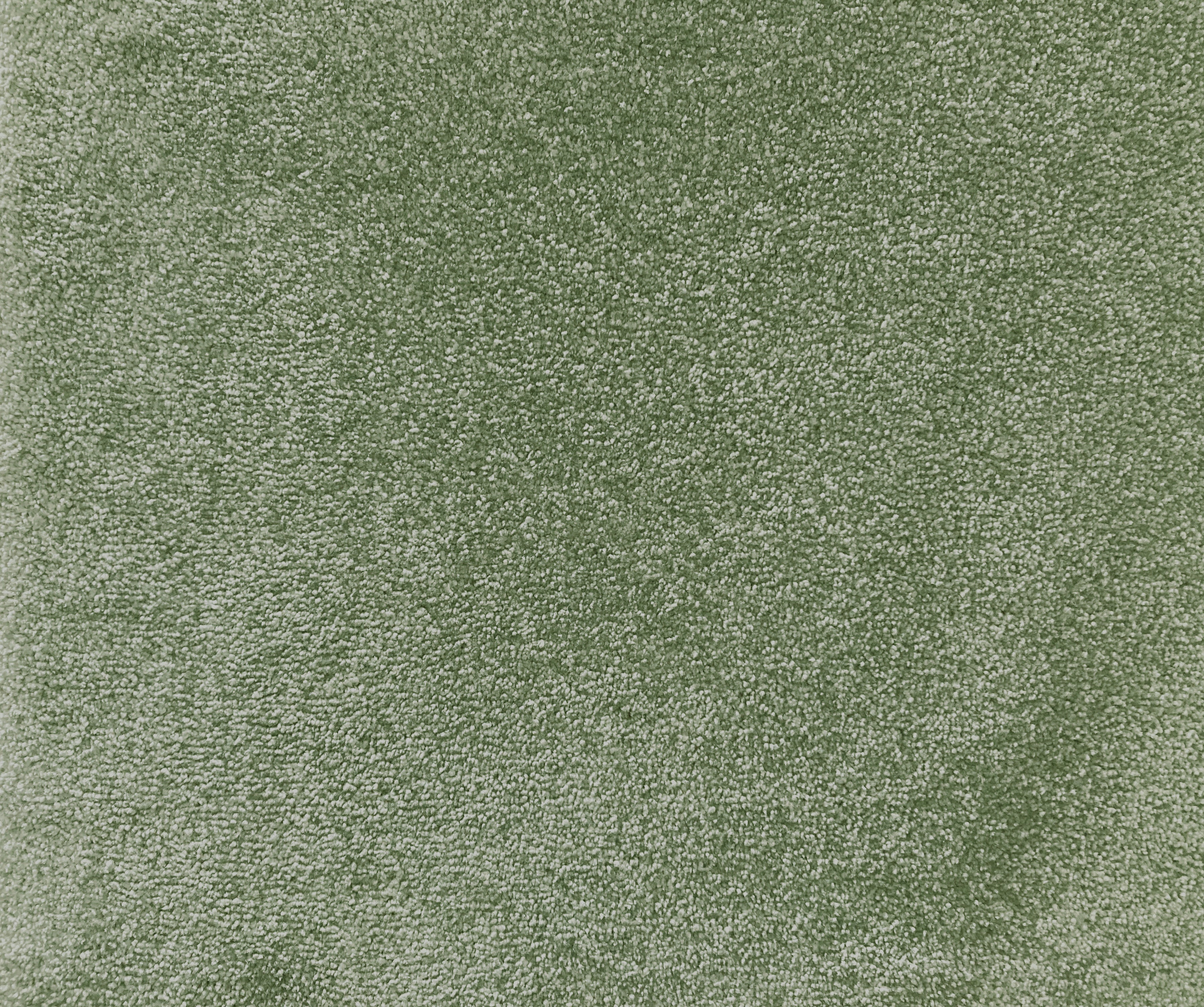 Mae Premium Carpet