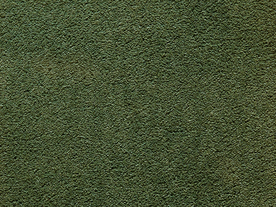 Premium Natural Embrace Carpet