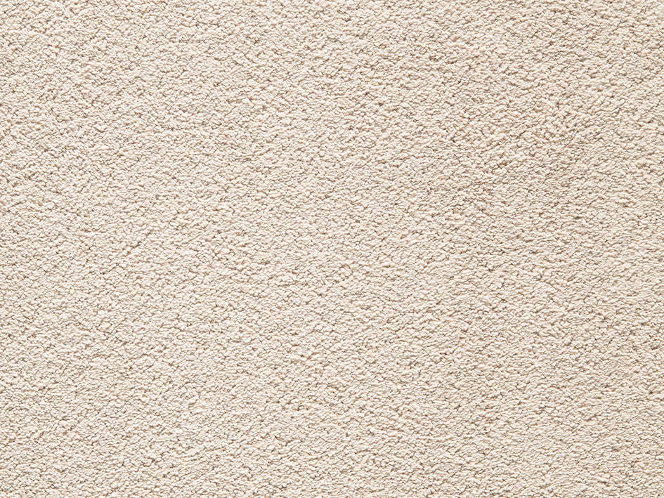 Premium Natural Embrace Carpet