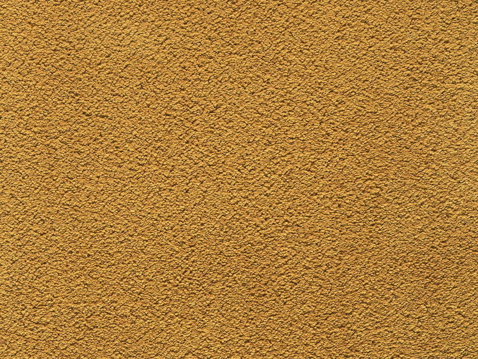 Premium Natural Embrace Carpet