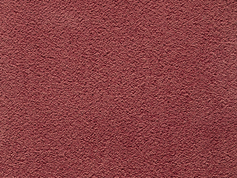 Premium Natural Embrace Carpet