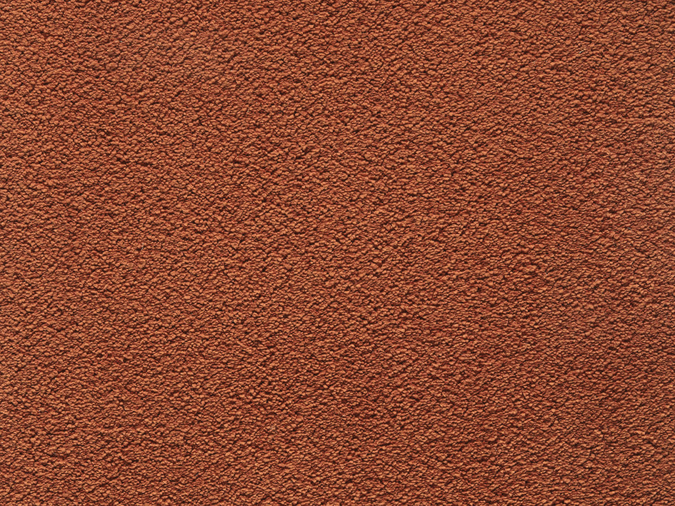 Premium Natural Embrace Carpet