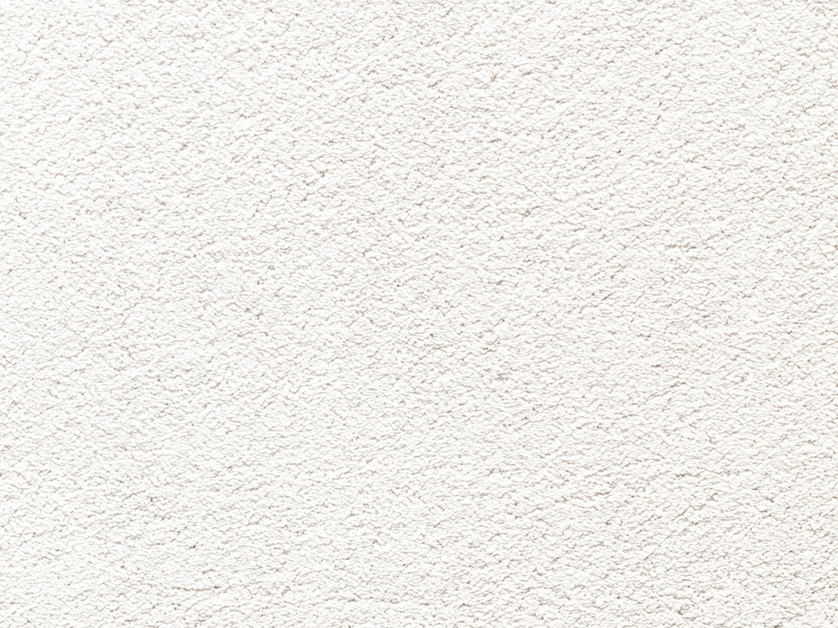 Premium Natural Embrace Carpet