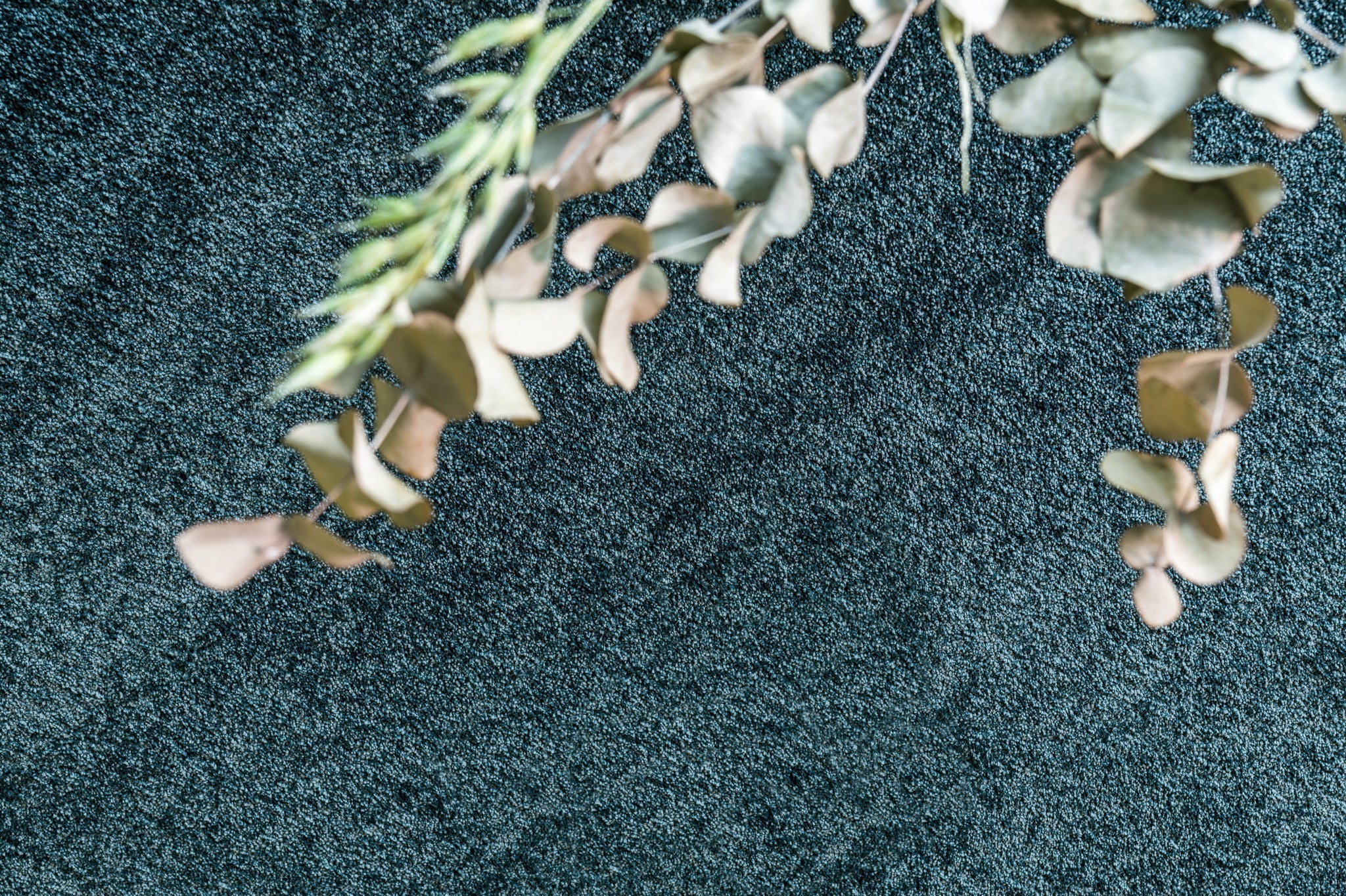 Premium Primrose Carpet