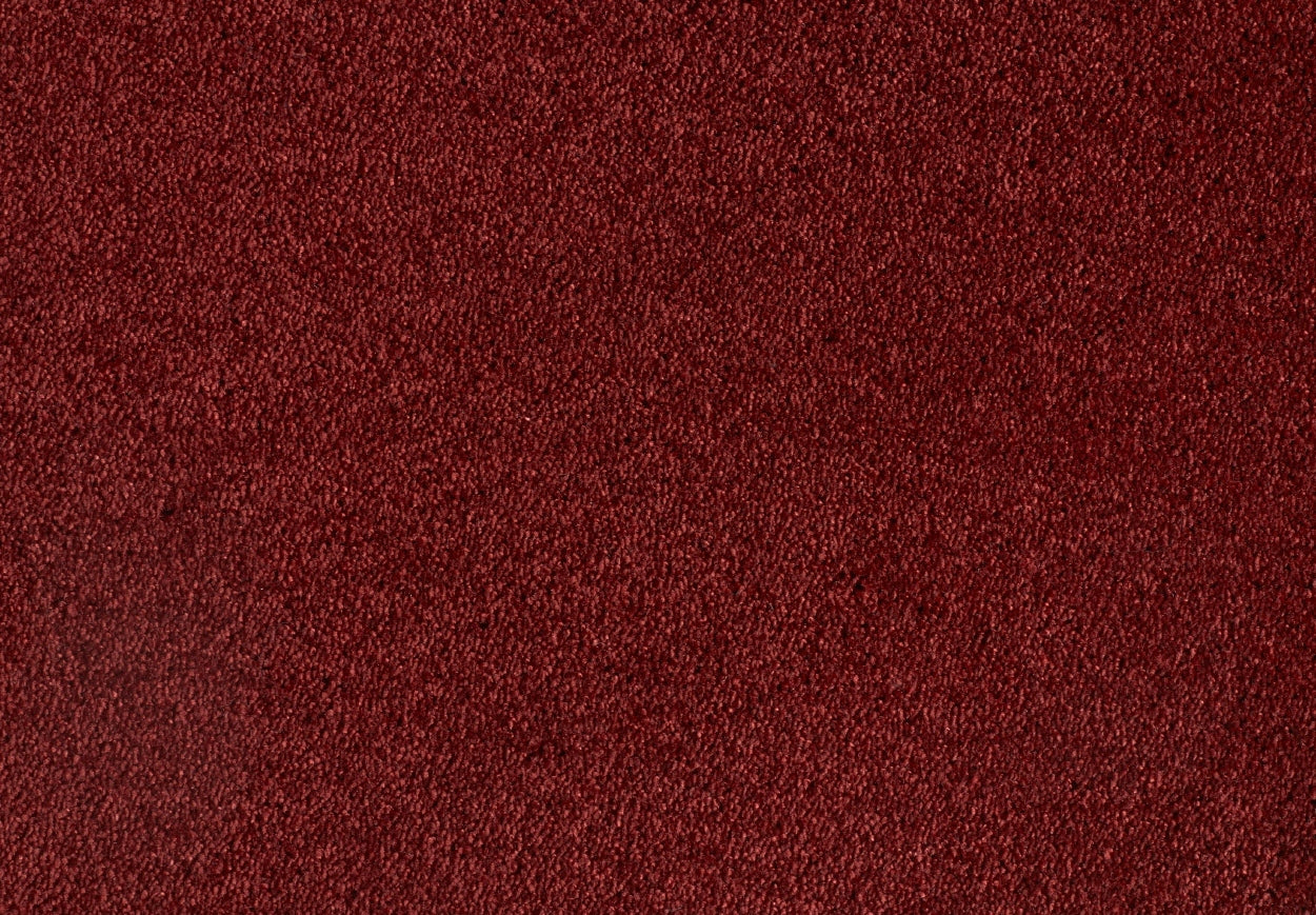 Satine Nova carpet
