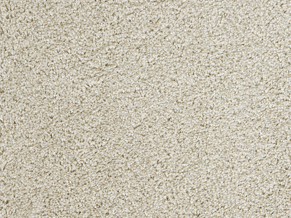 Premium Satino Casanova carpet