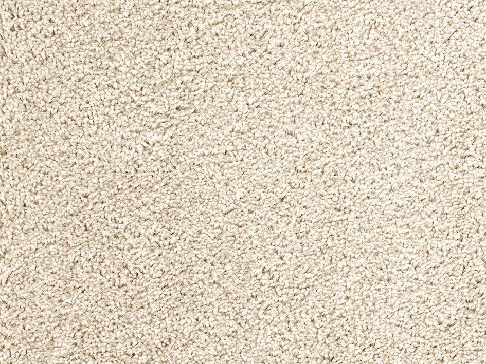 Premium Satino Casanova carpet