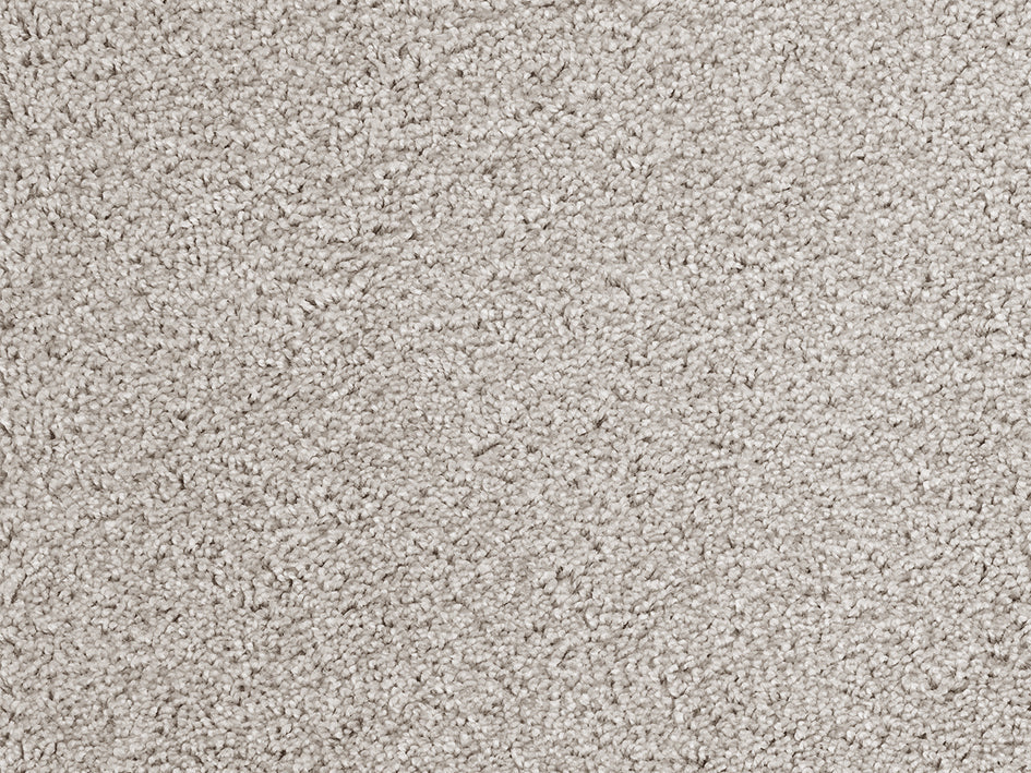 Premium Satino Casanova carpet