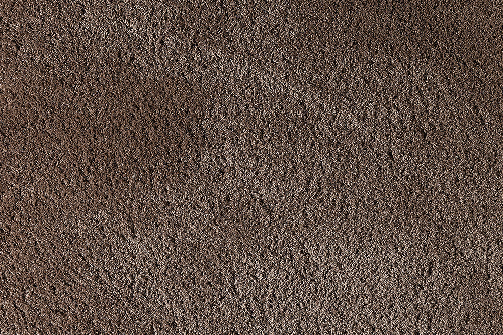 Premium Silky Lush Carpet